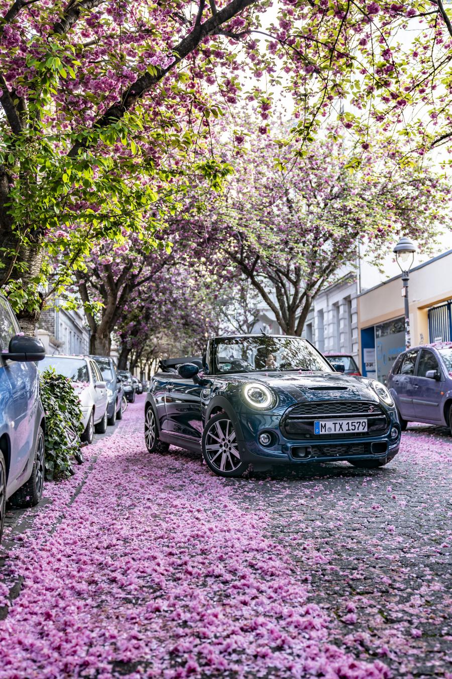  Mini Cooper S Cabrio Sidewalk (F57) 2020 года  (WW) (фото 44 из 53)